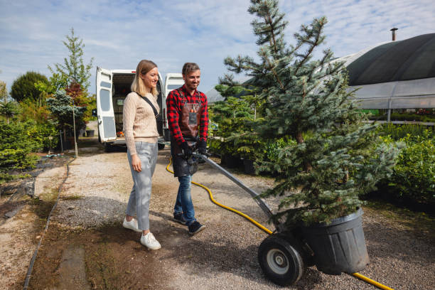 Best Tree Trimming Near Me  in Sudley, VA